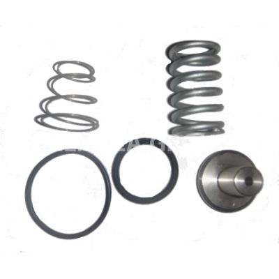 Ремкомплект клапана минимального давления G35F 1-1/4" VMC 2201250 Ремкомплект клапана минимального давления G35F 1-1/4" VMC 2201250 фото